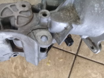 20180723_114348.jpg
