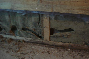 30a1cb0086c4.jpg