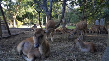 20160611_153140-min.jpg