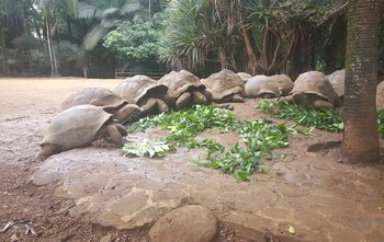 20160609_110132.jpg