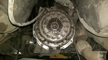 IMAG0961.jpg