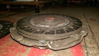 IMAG0981.jpg