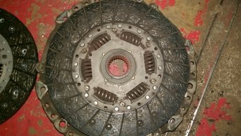 IMAG0983.jpg
