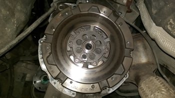 IMAG0985.jpg
