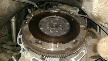 IMAG0986.jpg