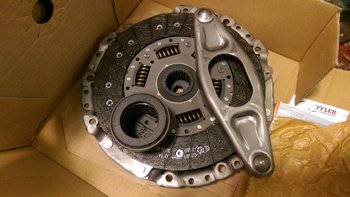 IMAG0965.jpg