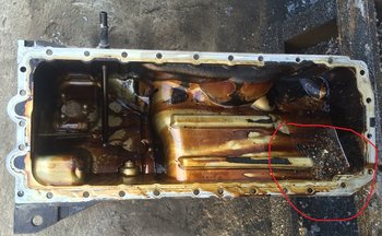 94173das-960.jpg