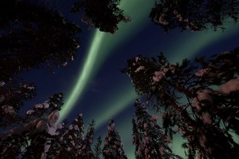 Aurora 1.jpg