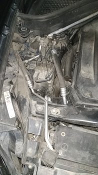 IMG_20180808_032353.jpg