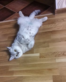 IMG_20180719_215228_907.jpg