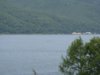 DSC02952.jpg