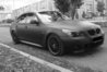 DSC01991-2.JPG