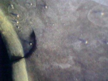 Snapshot000004.jpg
