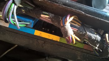 WP_20180901_13_54_22_Pro.jpg