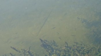 IMG-20180909-WA0002.jpg