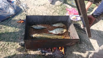IMG-20180909-WA0009.jpg