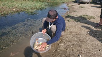 IMG-20180909-WA0015.jpg