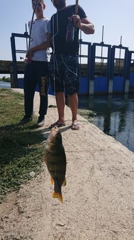 IMG-20180909-WA0020.jpg