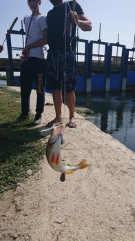 IMG-20180909-WA0038.jpg
