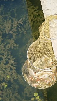 IMG-20180909-WA0051.jpg