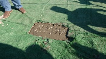 IMG-20180918-WA0029.jpg