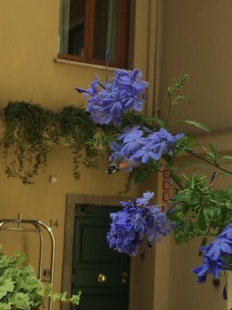 IMG_6383.JPG
