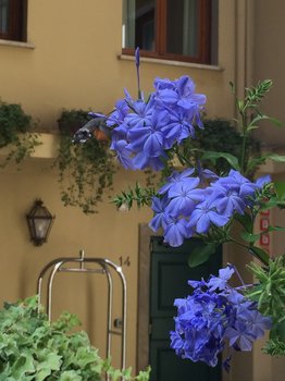 IMG_6386.JPG