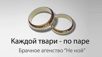 F23D186A-A32C-4A91-A7FA-A31FAF9CC78A.jpeg