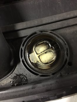 BFE69611-5F78-4373-87EA-D03F4699870A.jpeg