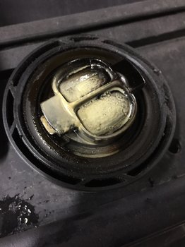 00F374AF-BE5B-4B11-B303-884C75109265.jpeg