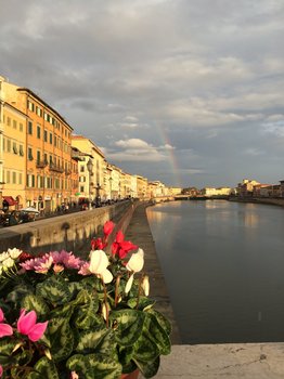 IMG_6943.JPG