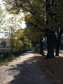 IMG_6959.JPG