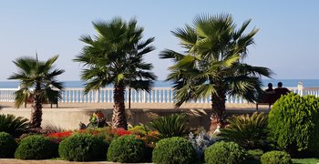 20181012_093040.jpg