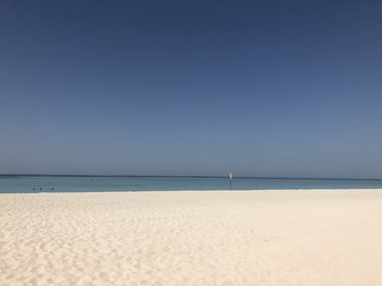 A62194F7-D994-495A-91A3-E351F8E7D2B6.jpeg