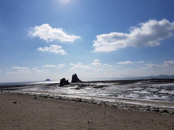 20180204_133542.jpg