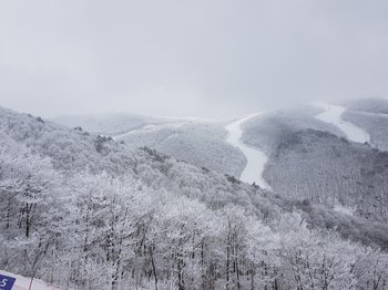 20180309_110327.jpg