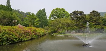 20180514_125601.jpg