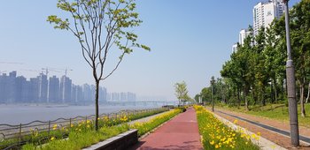 20180601_100248.jpg