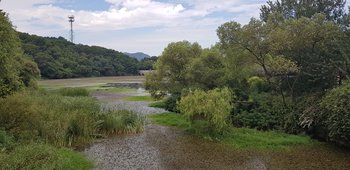 20180826_113955.jpg