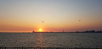 20180909_183858.jpg