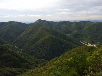 MyPhoto_1110886728_0529.jpg