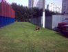16082009067.jpg
