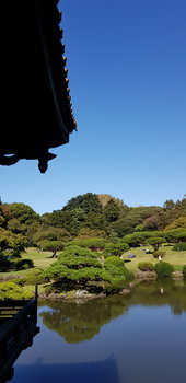 20181021_113840.jpg