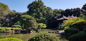 20181021_112906.jpg