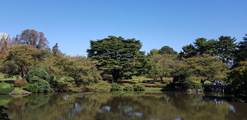 20181021_114311.jpg