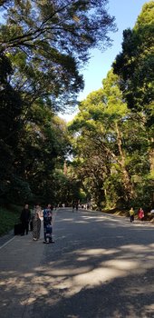 20181022_125254.jpg