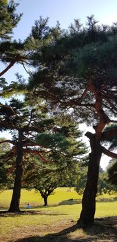 20181022_140145.jpg
