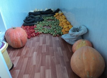 DSC01995.JPG