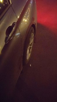 IMG_20181026_064557_HHT.jpg