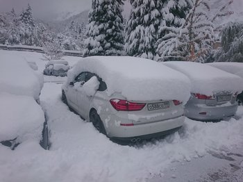 DSC_3895.JPG